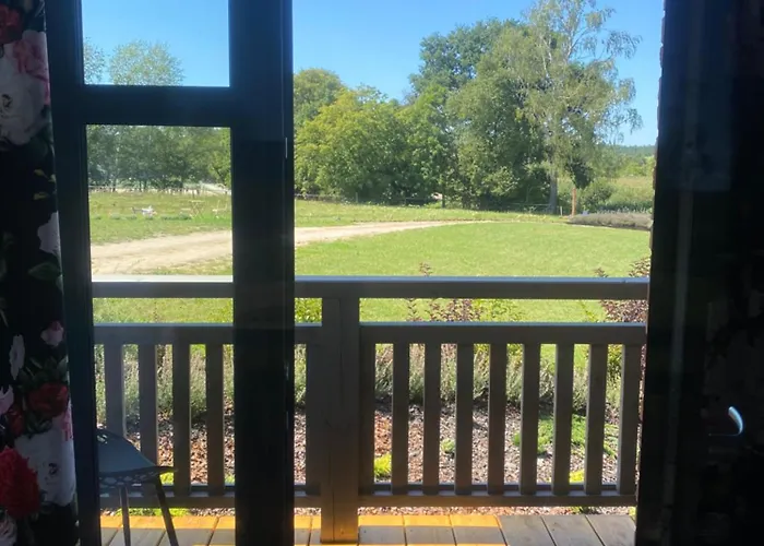 Lawendowy Ruciane-Nida